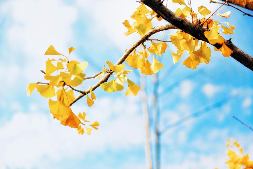 La signification de la couleur jaune